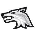 ”Wolfteam Aralık Ayı Uygulaması