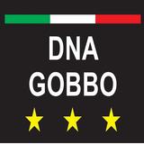 DNA GOBBO icône