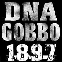 DNA GOBBO पोस्टर