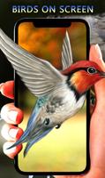 prachtige vogels live wallpapers screenshot 2