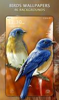 Beauty Birds Live Wallpaper&Themes- HD Bird Images screenshot 3