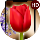 đồng hồ hoa tulip chủ đề hình nền hoa sống biểu tượng