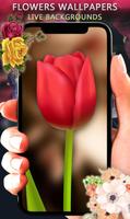 tulipa flor relógio ao vivo papel de parede flor Cartaz