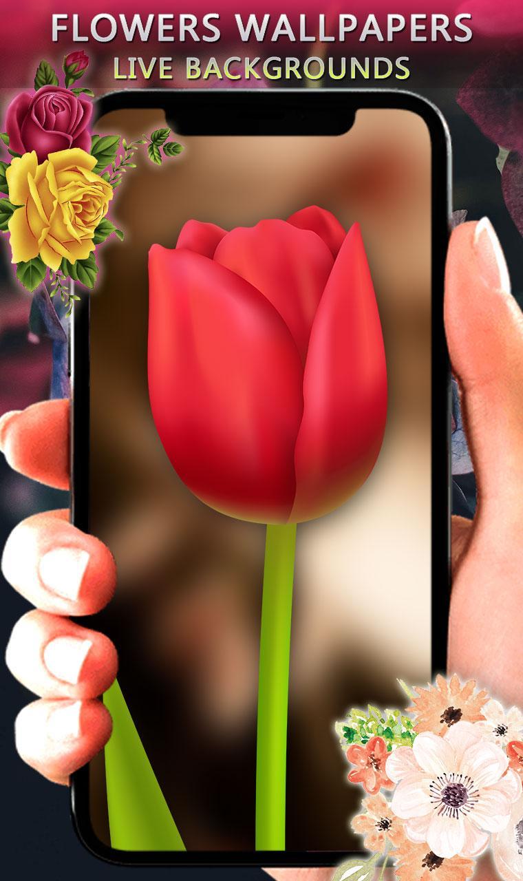 Jam Bunga Tulip Tema Wallpaper Hidup Bunga For Android Apk Download