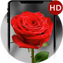 Roses Live Wallpaper-Animated Roses Themes Live APK