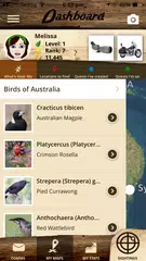 QuestaGame APK download