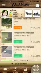 QuestaGame APK download