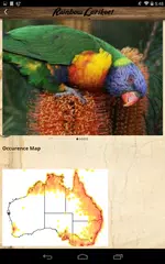 QuestaGame APK download