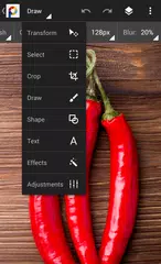 PhotoSuite APK 下載