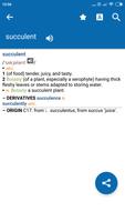 Oxford English Dict.&Thesaurus poster