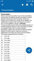 Dictionary of Literary Terms poster