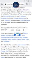 New Oxford American Dictionary screenshot 3