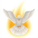 Devotion to the Holy Spirit APK