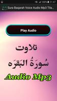 Sura Baqarah Voice Audio Mp3 ภาพหน้าจอ 1