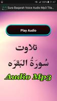 Sura Baqarah Voice Audio Mp3 capture d'écran 1