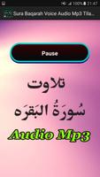 Sura Baqarah Voice Audio Mp3 스크린샷 2