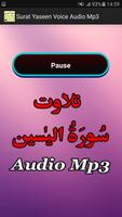 Surat Yaseen Voice Audio Mp3 capture d'écran 2
