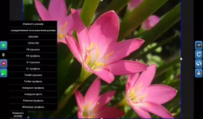 Скачать QReduce: Фото редуктор XAPK