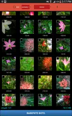 Скачать QReduce: Фото редуктор XAPK