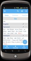 Arabic Dictionary Affiche