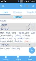 Slovak Dictionary screenshot 2