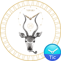 TicWatch Antelope