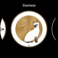 1 Schermata Siamese Designed by Kangqing