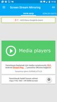 Screen Stream Mirroring Ekran Görüntüsü 2