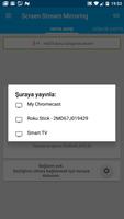 Screen Stream Mirroring Pro Ekran Görüntüsü 1