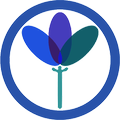 mograSIS-ParentApp