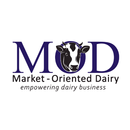 MOD-TRADE APK