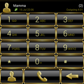 Theme for ExDialer Frame Gold2
