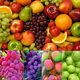 Fruits HD Wallpapers