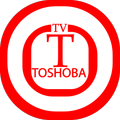 Toshiba Smart Remote TV