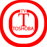 Toshiba Smart Remote TV