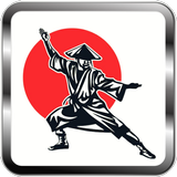 Kung Fu - wing chun Training APK