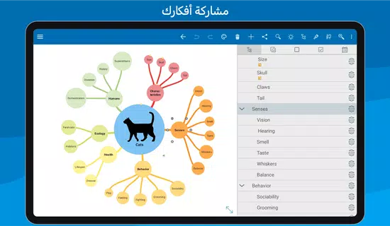 SimpleMind Pro - Mind Mapping