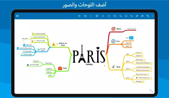 SimpleMind Pro - Mind Mapping