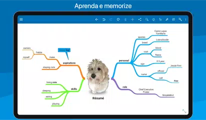Baixar SimpleMind Pro - Mind Mapping APK