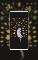 Kitten Wallpapers HD 4K Ekran Görüntüsü 2