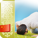 穆斯林的拜功 APK