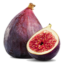 My Fig Farm Tree Tracker APK