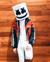 3000+ Marshmello Wallpaper capture d'écran 2