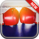 Boxing Wallpapers آئیکن