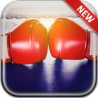 Boxing Wallpapers आइकन