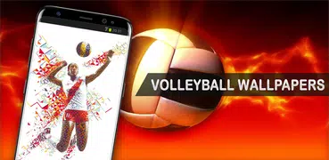 Volleyball Wallpapers