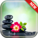 Zen Wallpapers APK