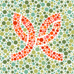 ”Ishihara
