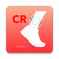 CRO Companion
