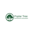 Poplar Tree